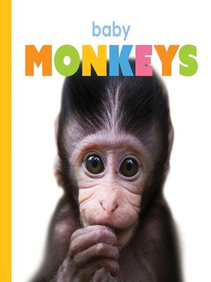 cover image of Baby Monkeys